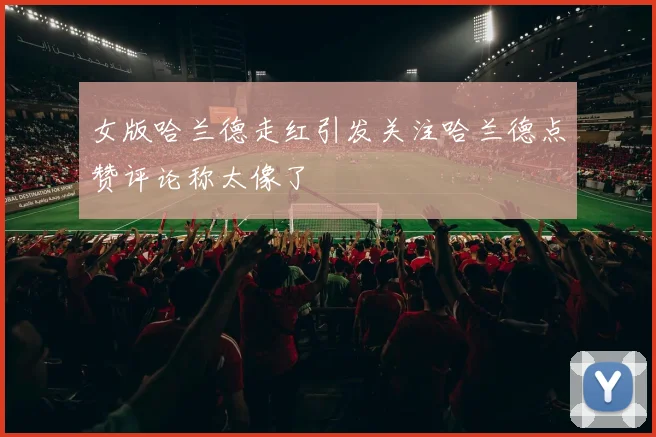 女版哈兰德走红引发关注哈兰德点赞评论称太像了